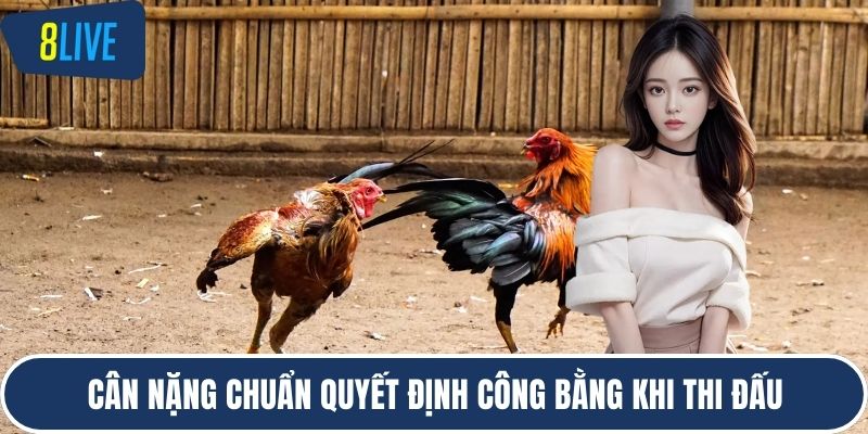 Cân nặng chuẩn quyết định công bằng khi thi đấu