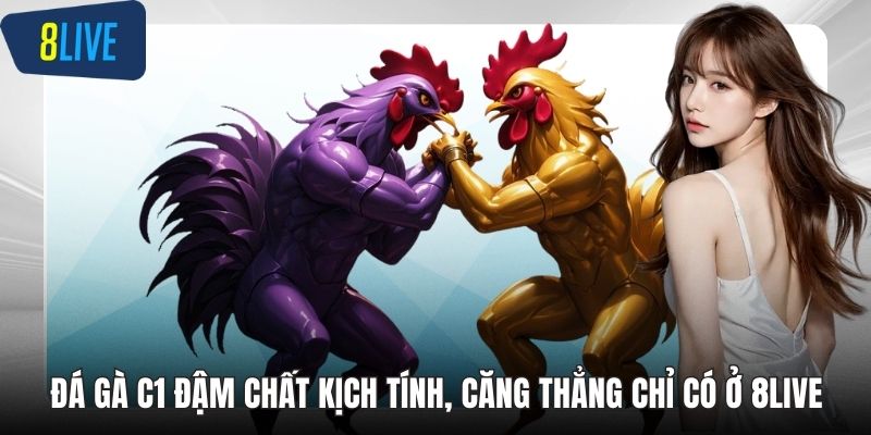 Đá gà c1