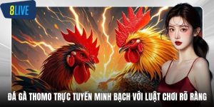 Đá gà thomo