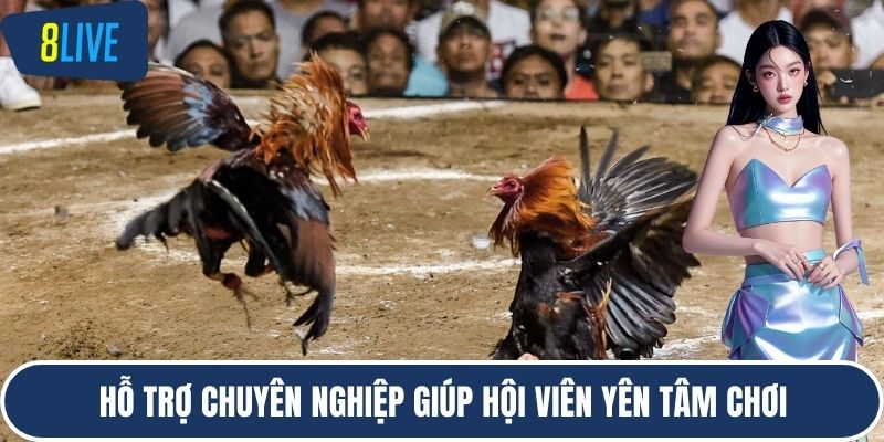 Hỗ trợ chuyên nghiệp giúp hội viên yên tâm chơi