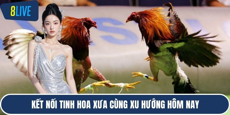 Kết nối tinh hoa xưa cùng xu hướng hôm nay