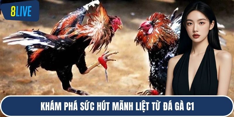 Khám phá sức hút mãnh liệt từ Đá gà c1