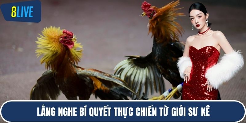 Lắng nghe bí quyết thực chiến từ giới sư kê