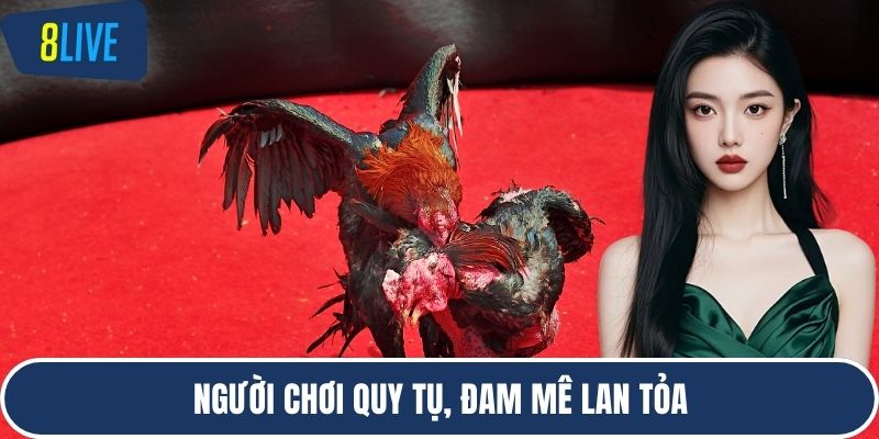 Người chơi quy tụ, đam mê lan tỏa