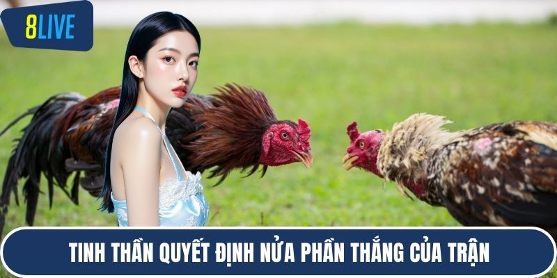Tinh thần quyết định nửa phần thắng của trận