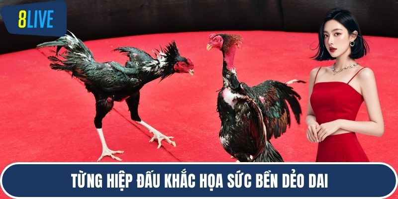 Từng hiệp đấu khắc họa sức bền dẻo dai